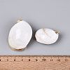 Electroplate Natural Sea Shell Pendants SSHEL-Q100-04KCG-3