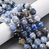 Natural Blue Agate Beads Strands G-P570-F01-01-1