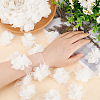 Polyester Chiffon Lace Trim OCOR-WH0007-02-3