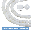 3 Strands Natural Freshwater Shell Beads Strands SHEL-HS0001-16-2