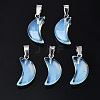 Spray Painted Glass Pendants GLAA-N035-021-A02-1