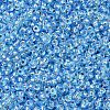 MIYUKI Round Rocailles Beads SEED-G007-RR1018-3