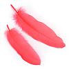 Goose Feather Costume Accessories FIND-Q044-04-1