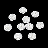 ABS Plastic Pearl Beads PL-CBA81FF-05-1