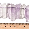 Natural Amethyst Beads Strands G-S386-D04-5