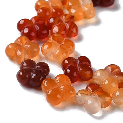 Natural Carnelian Beads Strands G-M418-D02-01-1
