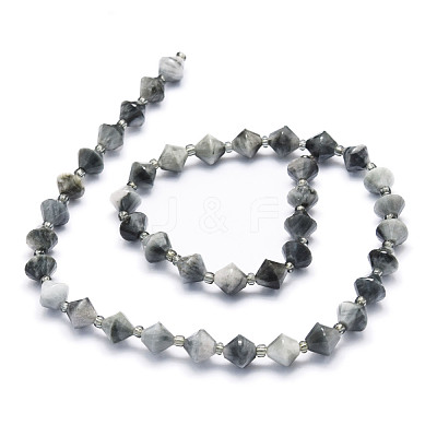 Natural Eagle Eye Stone Beads Strands G-E569-C10-1