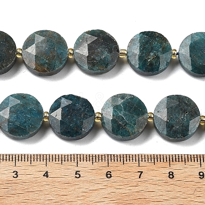 Natural Apatite Beads Strands G-C116-A159-03-1