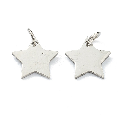 Tarnish Resistant (Defective Closeout Sale: Scratches)304 Stainless Steel Charms STAS-XCP0001-34-1