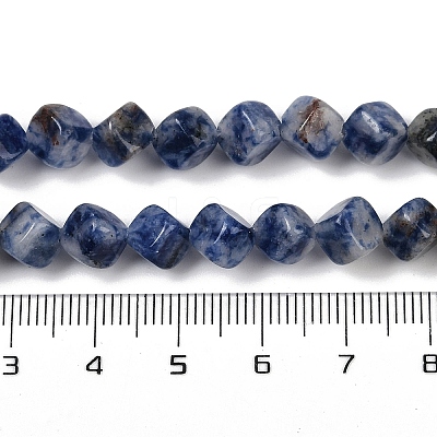 Natural Blue Spot Jasper Beads Strands G-A257-A15-01-1