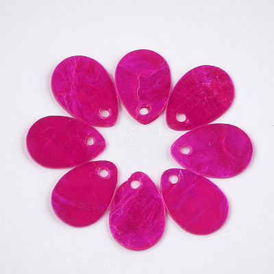 Spray Painted Capiz Shell Charms SSHEL-T006-10A-1