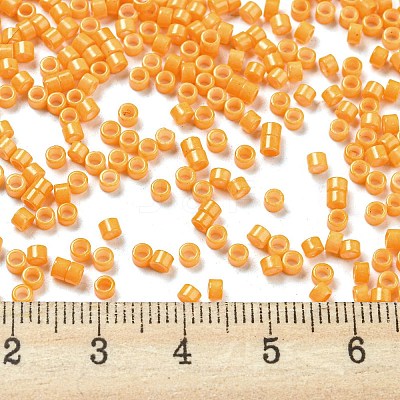 Baking Paint Glass Seed Beads SEED-S042-05A-30-1