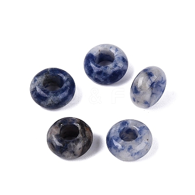 Natural Blue Spot Jasper European Beads G-Q602-04L-1