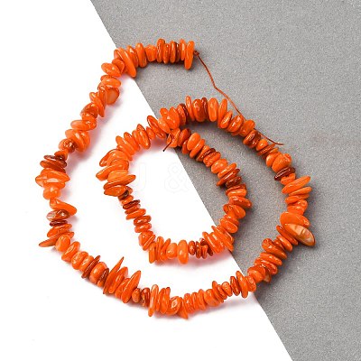Natural Freshwater Shell Beads Strands BSHE-I016-01F-1