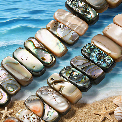 1 Strand Natural Paua Shell Beads Strands BSHE-PA0001-08-1