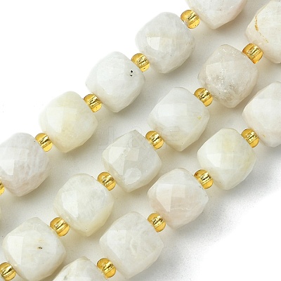 Natural Moonstone Beads Strands G-Q010-A05-01-1