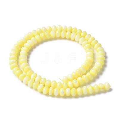 Natural Freshwater Shell Beads Strands SSHEL-C013-07C-1