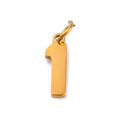 304 Stainless Steel Charms STAS-A106-01G-01-1