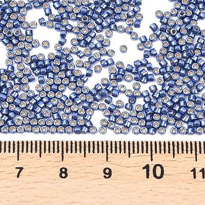 MIYUKI Delica Beads SEED-MY11-DB2517-1