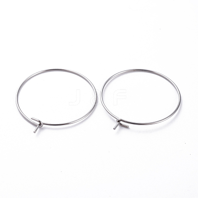 316 Surgical Stainless Steel Hoop Earring Findings STAS-J025-01C-P-1