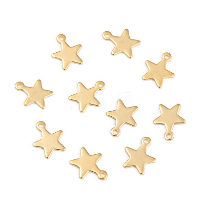 304 Stainless Steel Charms STAS-G190-27G-B-1