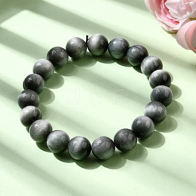 Grade AA Natural Eagle Eye Stone Round Beads Stretch Bracelets for Women BJEW-L712-B05-10mm-1