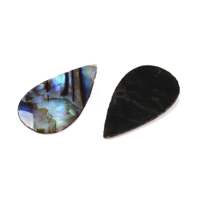 Natural Paua Shell Teardrop Cabochons SSHEL-T017-12-1