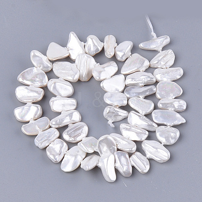Electroplate Shell Pearl Beads Strands SSHEL-S261-01F-1