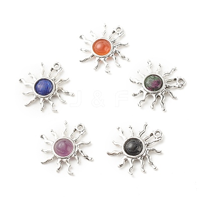 Natural Gemstone Pendants PALLOY-JF01354-1