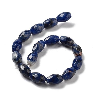 Natural Sodalite Beads Strands G-P520-C07-01-1