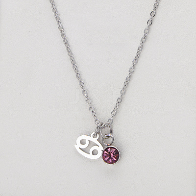 304 Stainless Steel Light Amethyst Rhinestone Birth Stone Constellation Pendant Necklaces FS-WG76580-18-1