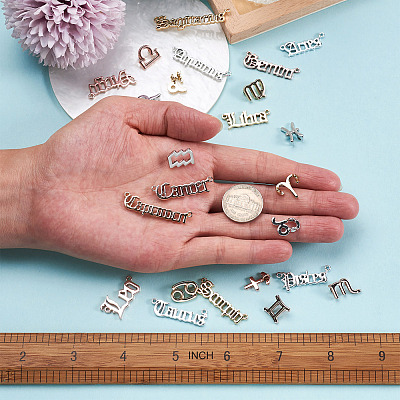 72pcs 6 Sets 6 Style Alloy Pendants FIND-CD0001-10-1