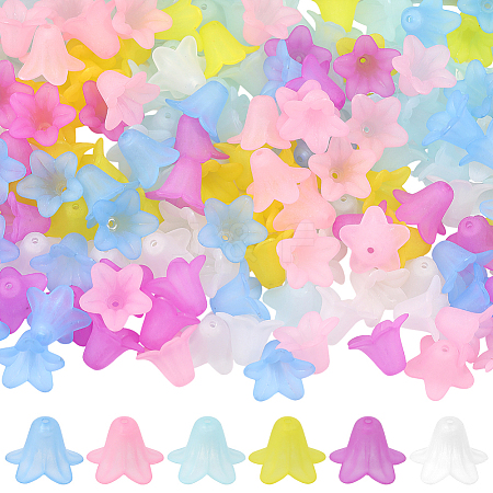 240Pcs 6 Colors Transparent Acrylic Beads FACR-SC0001-04-1