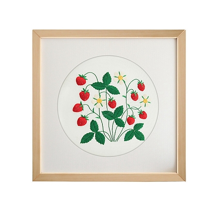 Embroidery Starter Kits DIY-P077-039-1