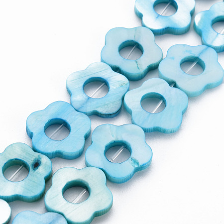 Freshwater Shell Beads Frames Strands SHEL-T009-14B-1