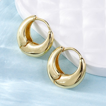 Rack Plating Brass Thick Hoop Earrings for Men Women EJEW-F288-06G-1