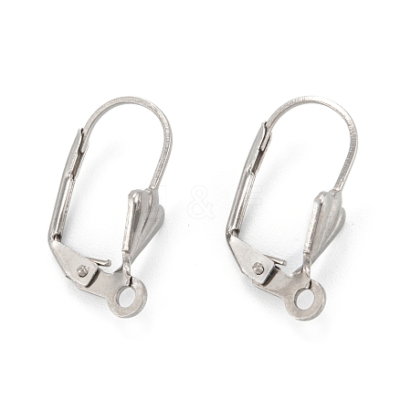 Tarnish Resistant 304 Stainless Steel Leverback Earring Findings STAS-K218-08P-1