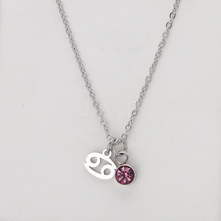 304 Stainless Steel Light Amethyst Rhinestone Birth Stone Constellation Pendant Necklaces FS-WG76580-18-1