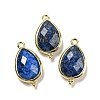 Natural Dyed Lapis Lazuli Faceted Pendants G-M431-15G-05-1