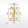 Brass Hinge CABI-PW0001-163-A01-1