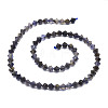 Natural Iolite Beads Strands G-E569-D01-2