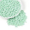 Baking Paint Glass Seed Beads SEED-N007-30B-1
