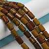 Natural Petrified Wood Beads Strands G-M420-E06-03-2