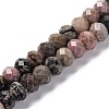 Natural Rhodonite Beads Strands G-K380-A16-01-1