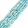 Natural Amazonite Beads Strands X-G-P500-01B-01-1