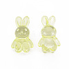 Transparent Acrylic Beads LS-MACR-S373-81-B06-2