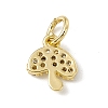 Brass Micro Pave Cubic Zirconia Charms ZIRC-F132-19G-2