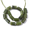 Natural Canadian Jade Beads Strands X-G-S345-8x11-006-2