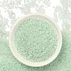 TOHO 11/0 Demi Round Beads Y-SEED-DR11-1065-4