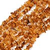 Natural Amber Beads Beads Strands G-Q060-C05-2